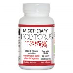Micotherapy Polyporus